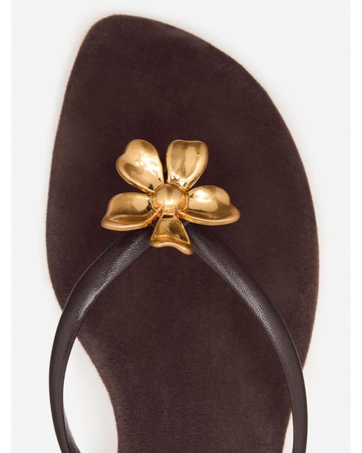 Reformation Brown Onyx Thong Sandal 5