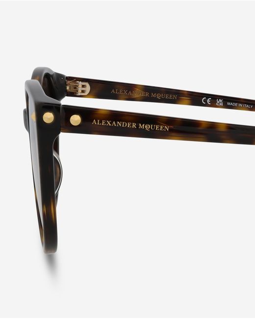 Alexander McQueen Brown Round Acetate 55 Mm Ladies Sunglasses Am0130S-30002577002