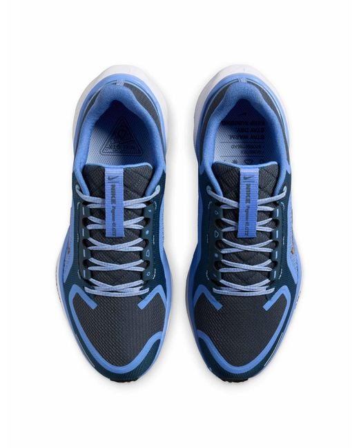 Nike Blue Women's Pegasus 41 Gore-tex Shoes