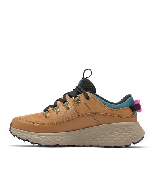 Columbia Brown Women's Terrastride Bc Hiking Shoe