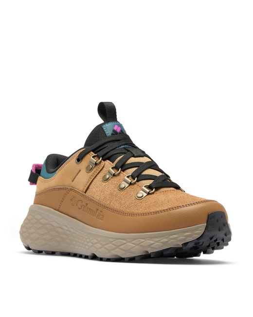 Columbia Brown Women's Terrastride Bc Hiking Shoe