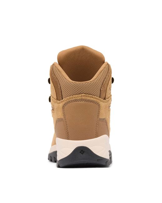 Columbia Natural Women's Newton Ridge Plus Waterproof Amped Hiking Boot