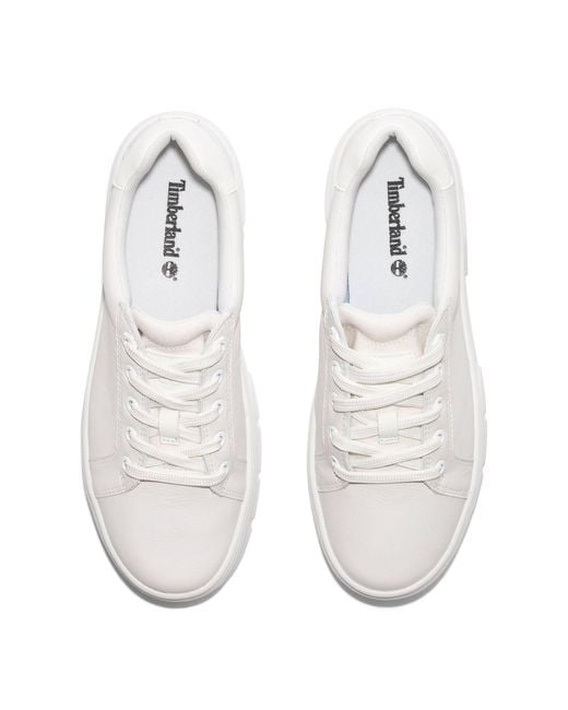 Timberland White Low Lace-up Trainer