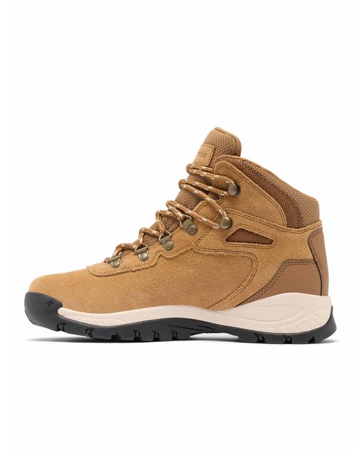 Columbia Natural Women's Newton Ridge Plus Waterproof Amped Hiking Boot