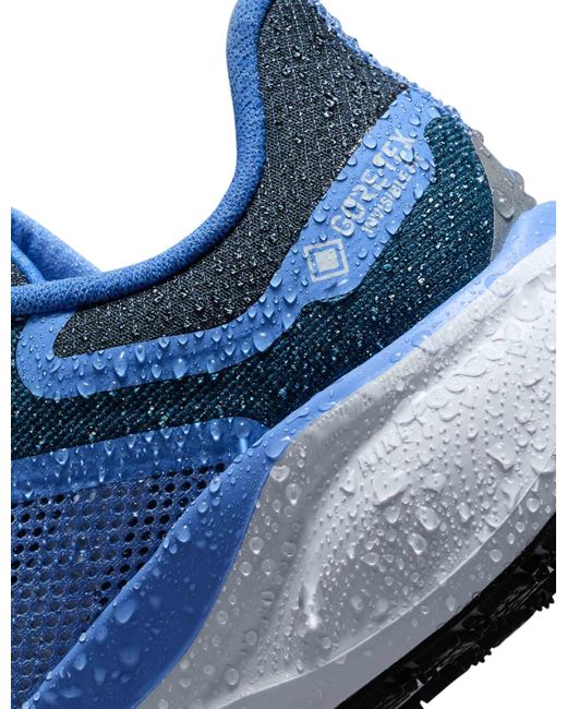 Nike Blue Women's Pegasus 41 Gore-tex Shoes