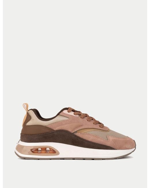 HOFF Brown Women's Skyline Trainers