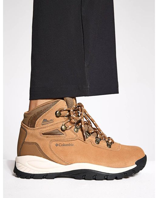 Columbia Natural Women's Newton Ridge Plus Waterproof Amped Hiking Boot