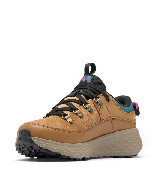 Columbia Brown Women's Terrastride Bc Hiking Shoe