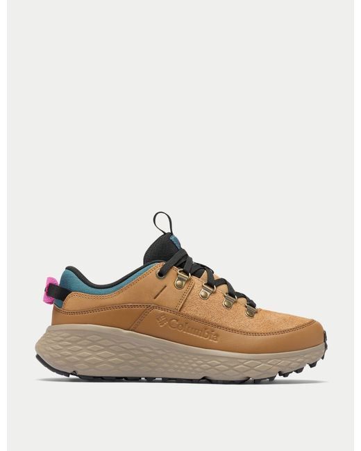 Columbia Brown Women's Terrastride Bc Hiking Shoe
