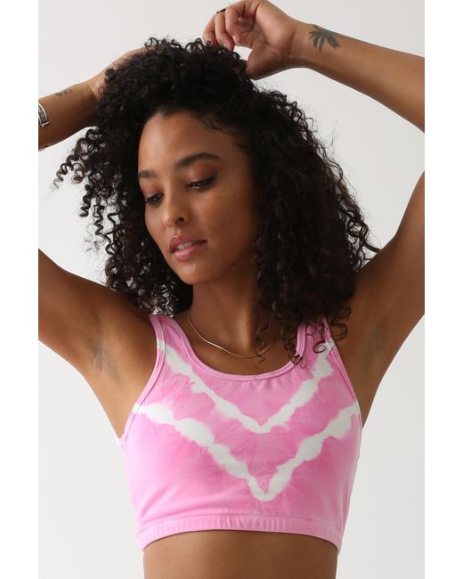 Electric and Rose Sirena Bra Lyst