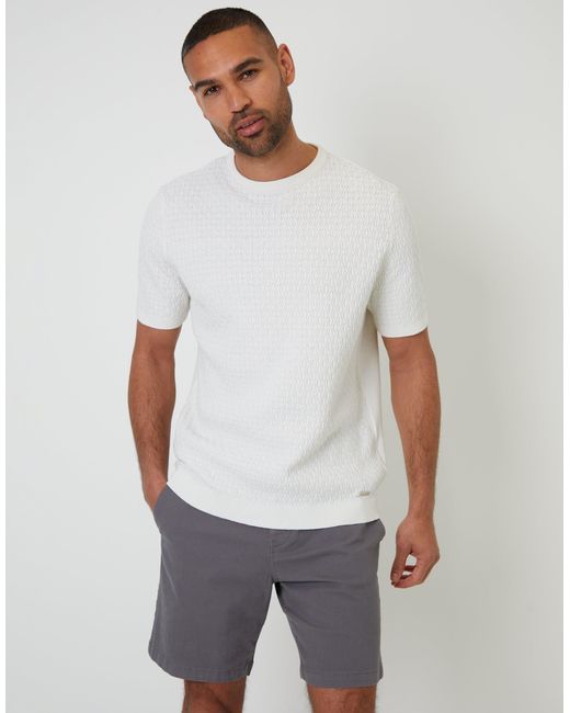 Threadbare Gray Regular Fit Stretch Chino Shorts for men