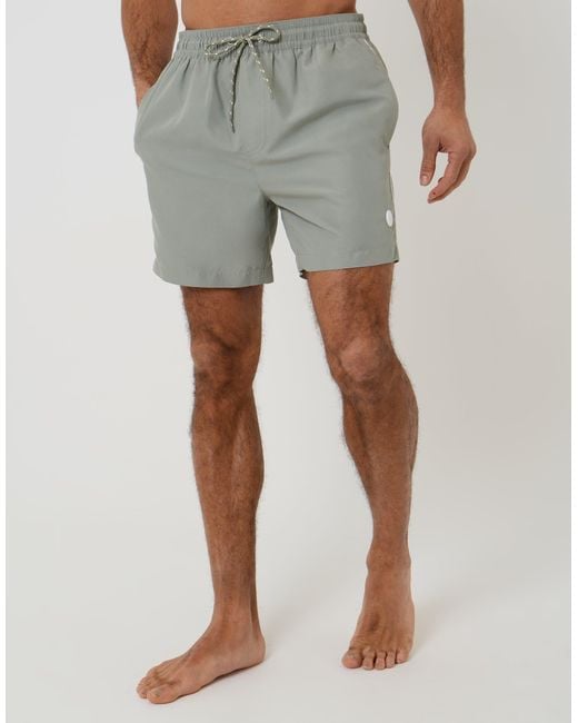 Threadbare Gray Contrast Piping Quick Dry Swim Shorts for men