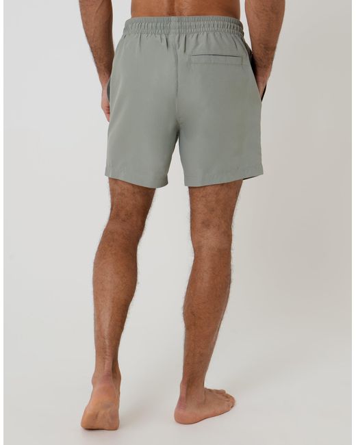 Threadbare Gray Contrast Piping Quick Dry Swim Shorts for men