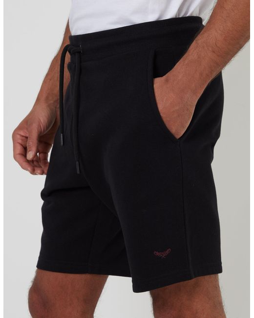 Threadbare Blue 3 Pack Assorted Sweat Shorts for men