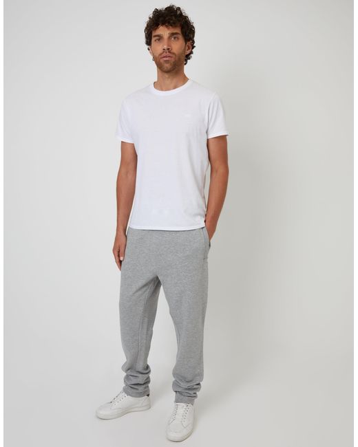 Threadbare Gray Straight Leg Joggers for men