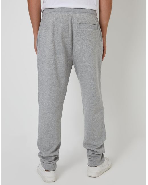 Threadbare Gray Straight Leg Joggers for men