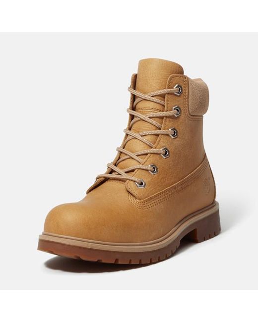 Timberland Brown 25 6-Inch Waterproof Boot For
