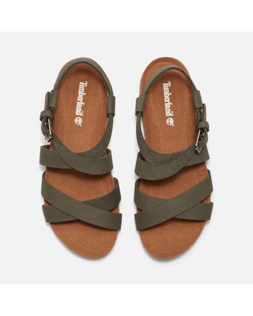 Timberland Brown Malibu Waves Backstrap Sandal For