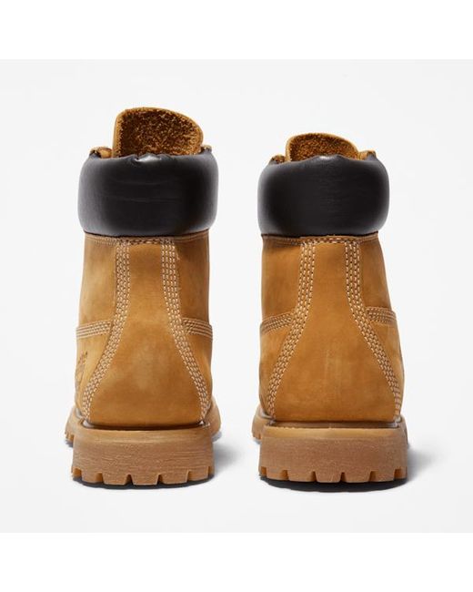 Timberland Brown Premium 6-Inch Waterproof Boot For