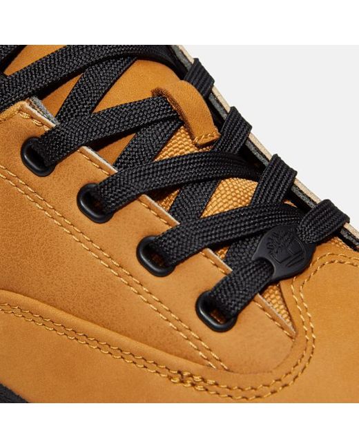 Timberland Brown Euro Grid Trainer For for men