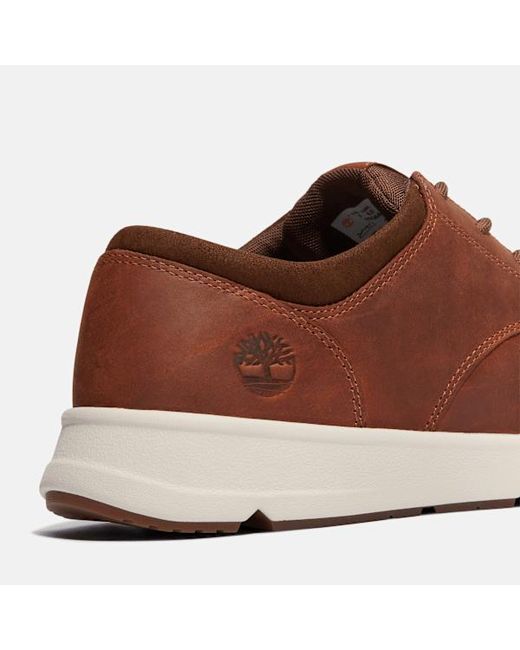 Timberland Brown Parker Street Trainer For for men