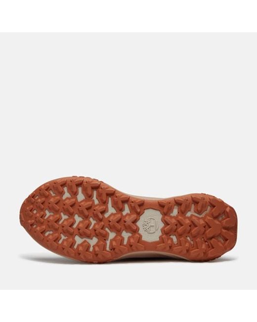 Timberland Gray Motion Access Waterproof Trainer For