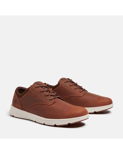 Timberland Brown Parker Street Trainer For for men