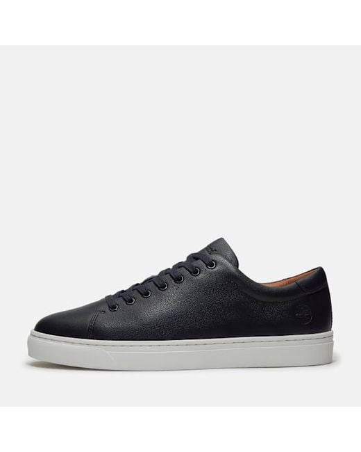 Timberland Blue Dover Park Trainer For for men