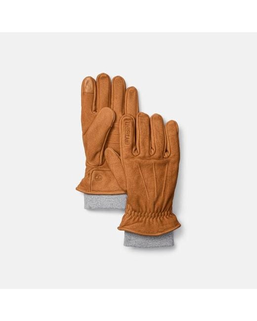 Timberland Brown Leather Glove With Rib Knit