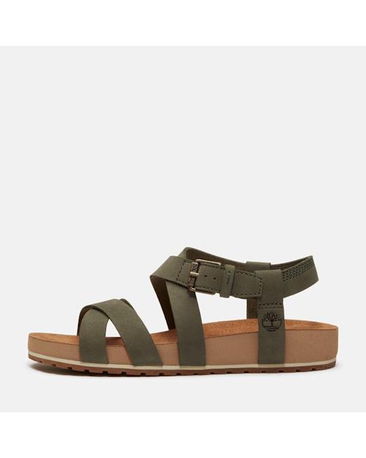 Timberland Brown Malibu Waves Backstrap Sandal For