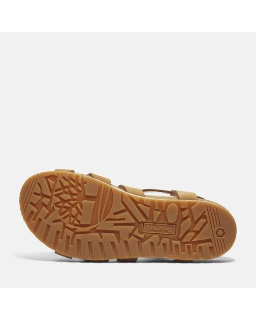 Timberland Brown Malibu Waves Backstrap Sandal For