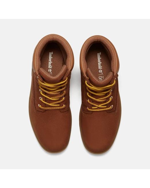 Timberland Brown Auburn Falls 6-Inch Waterproof Boot For