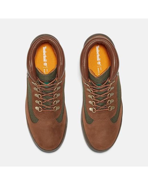 Timberland Brown Field Boot Mid Waterproof Boot For for men