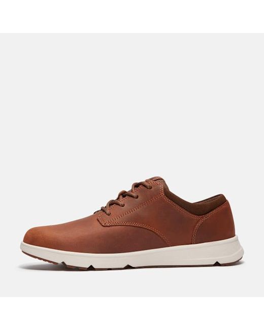 Timberland Brown Parker Street Trainer For for men