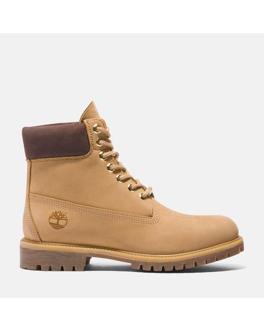 Timberland Natural 50th Edition Butters 6-inch Waterproof Boot for men