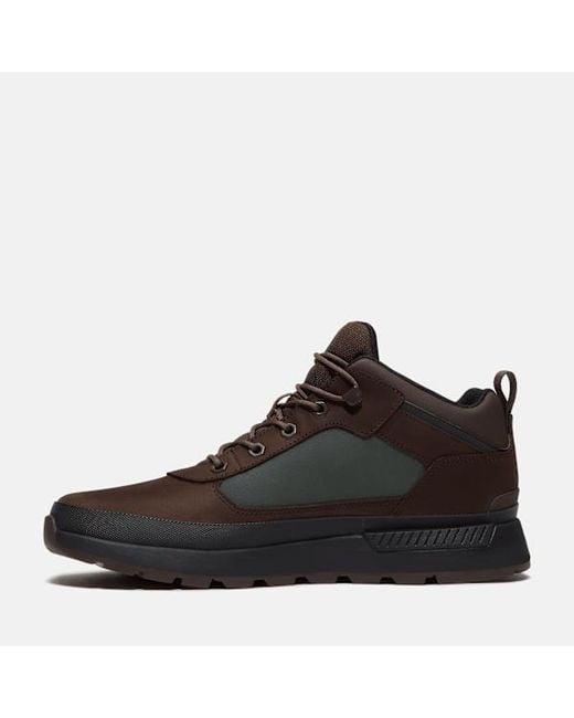 Timberland Brown Field Trekker Sneaker for men