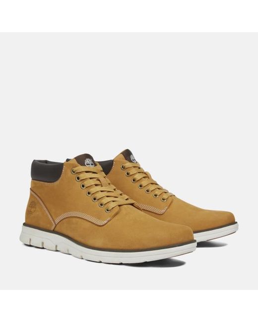 Timberland Brown Bradstreet Mid Trainer For for men