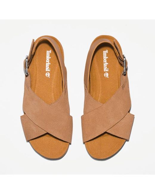 Timberland Brown Malibu Waves Basic Backstrap Sandal For