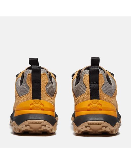 Timberland Brown Motion Access Waterproof Trainer For for men