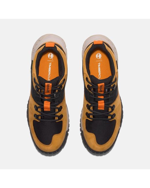 Timberland Brown Motion Scramble Low Lace-up Waterproof Hiker for men