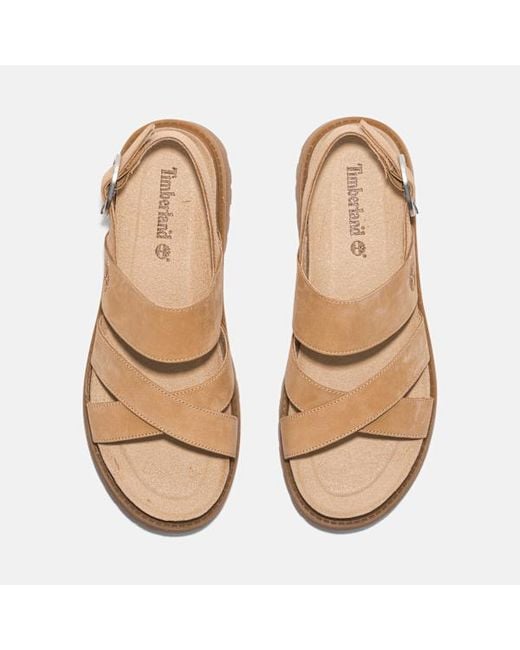 Timberland Brown Clairemont Way Backstrap Sandal For