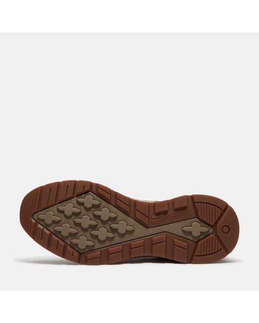 Timberland Brown Field Trekker Trainer For for men