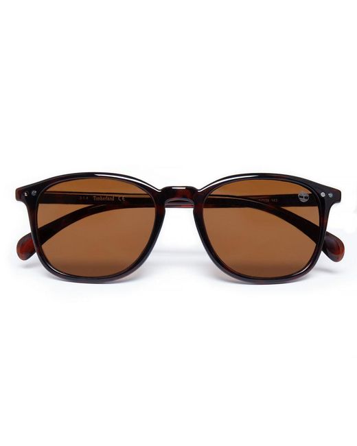 Timberland Brown Vintage Sunglasses
