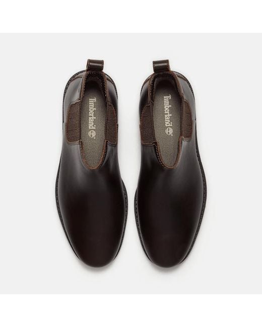 Timberland Brown Stormbucks Chelsea Boot For for men