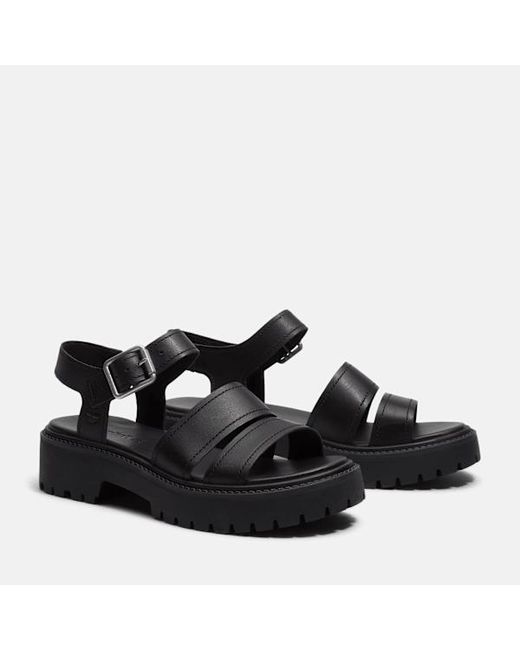 Timberland Black Gladiator Flat Sandal