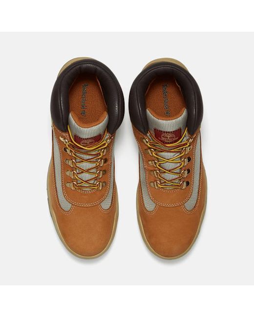Timberland Brown Re-Engineered Waterproof Field Boot For for men