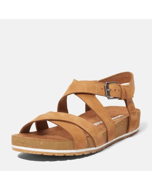 Timberland Brown Malibu Waves Backstrap Sandal For