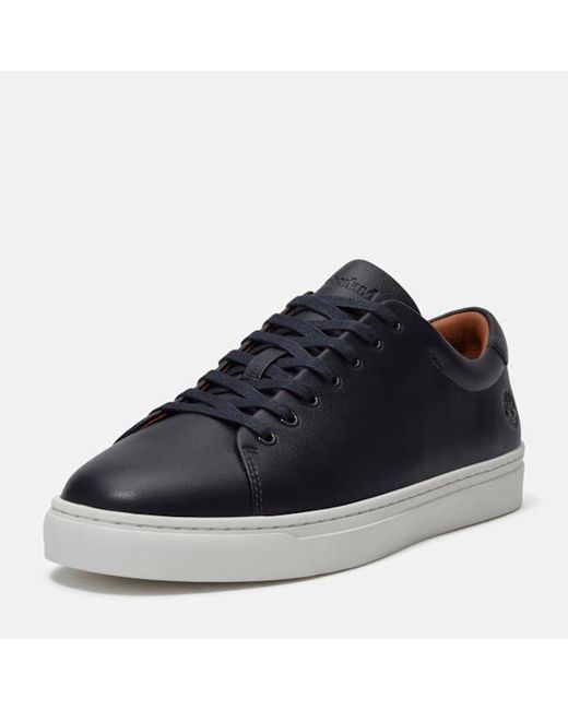 Timberland Blue Dover Park Trainer For for men