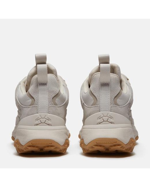 Timberland Gray Motion Access Waterproof Trainer For