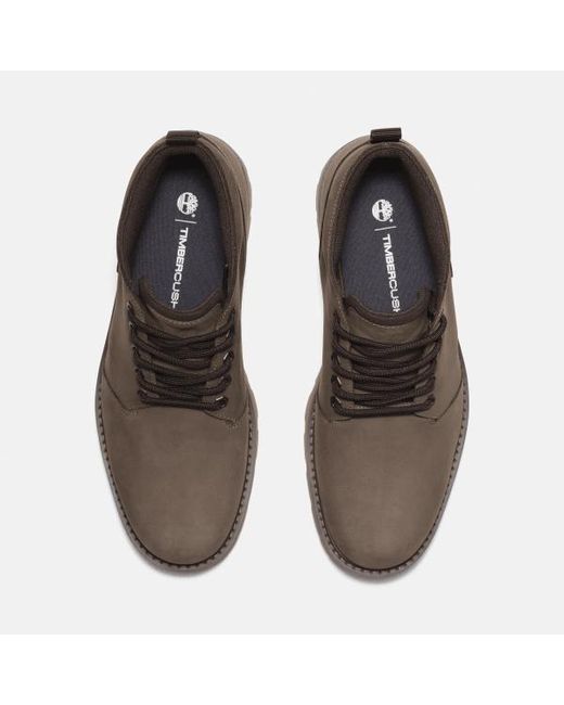 Timberland Brown Britton Road Waterproof Chukka Boot For for men